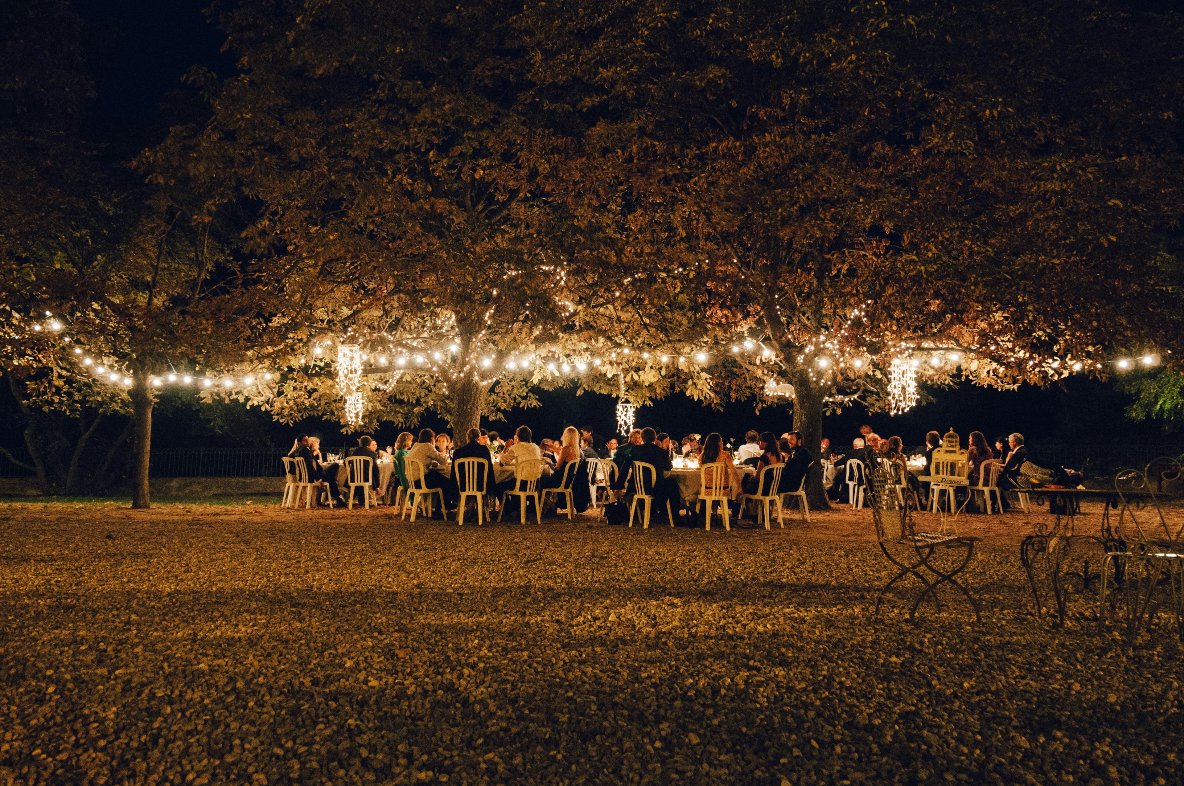 A garden wedding reception under trees hung with string lights